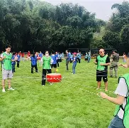 团队配合默契，比赛节奏控制得当的简单介绍